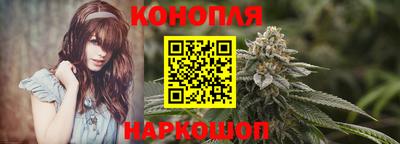 Альфа ПВП Кингисепп