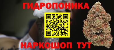Альфа ПВП Кингисепп