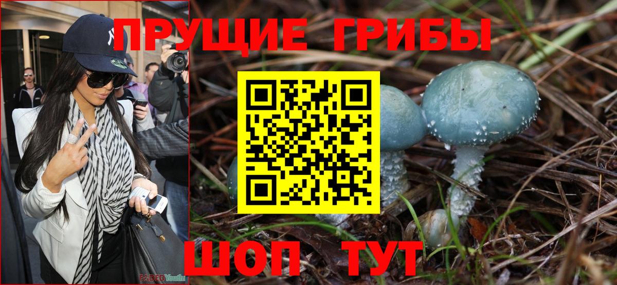 Бошки Шишки Котовск