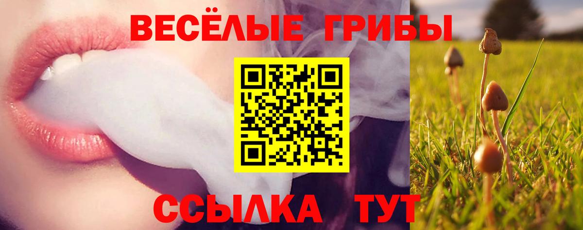 Псилоцибиновые грибы ЛСД  Вход с VPN  Котовск  Псилоцибиновые грибы GOLDEN TEACHER 