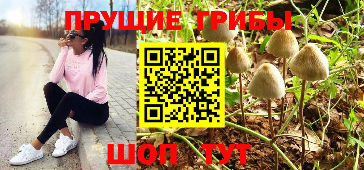 Галлюциногенные грибы ЛСД Котовск